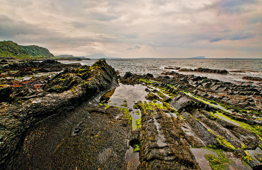 Low tide rocks Photograph by Chris Thaxter
