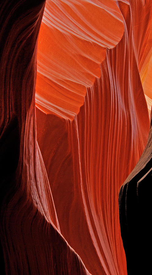 Lower Antelope Canyon  Photograph by Dave Mills