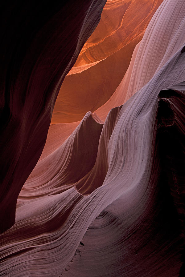 Lower Antelope Canyon diagonal Photograph by Gregory Scott