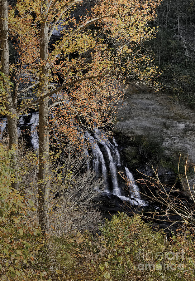 Lower Cullasaja Falls N Carolina Photograph by David Waldrop