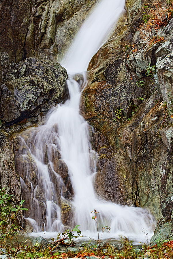 Waterfall Photograph - Lower Falls by Daryl Hanauer