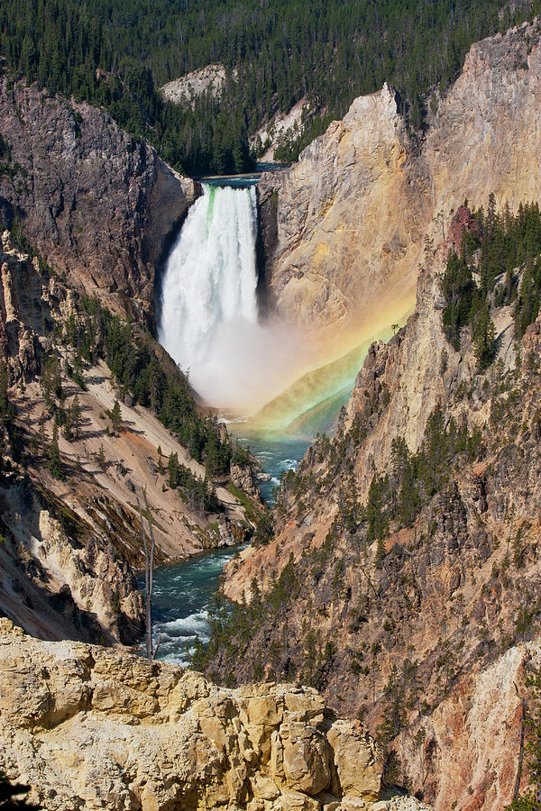 Lower Falls of the Yellowstone 2 Photograph by D Robert Franz