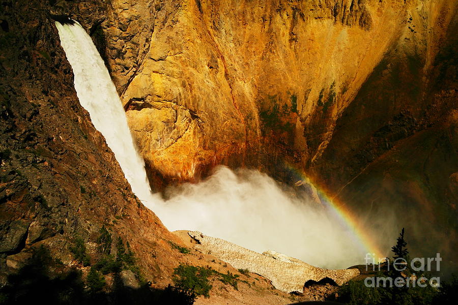 Lower Falls Yellowstone River Photograph by Jeff Swan
