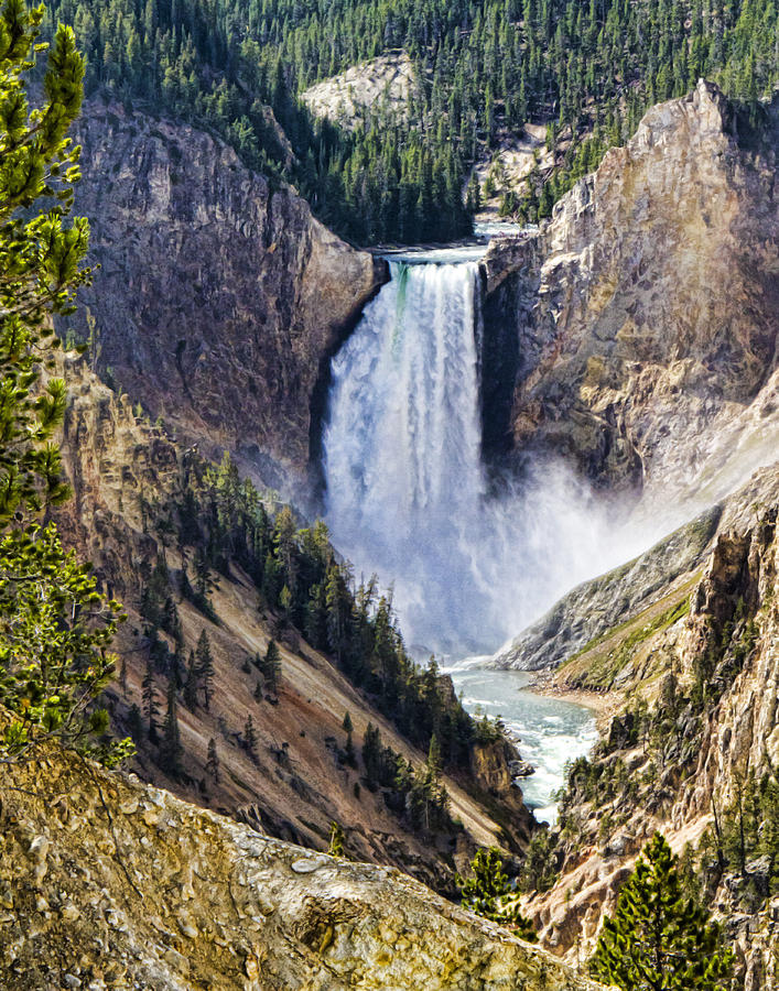 Lower Falls Yellowstone River Vertical Photograph