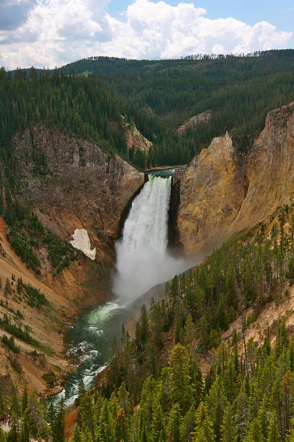 Lower Falls YNP Photograph by Linda Bisbee - Fine Art America