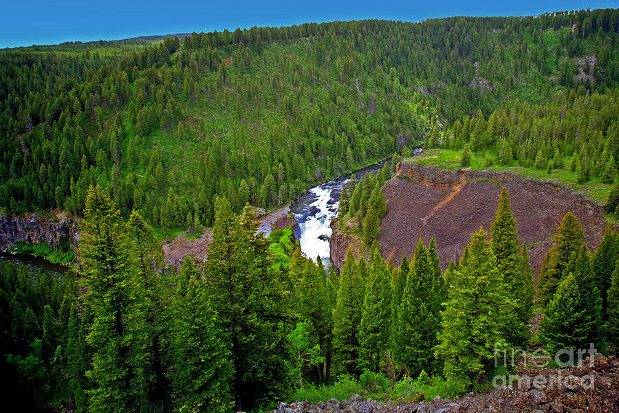 Lower Mesa Falls Near Warm River Idaho Photograph by Rich Walter Fine