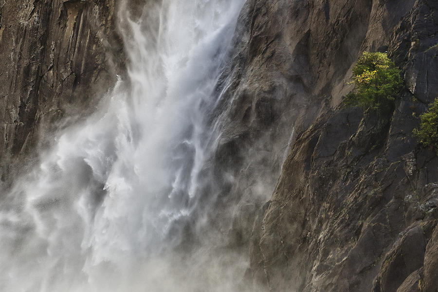 Yosemite National Park Photograph - Lower Yosemite Falls Detail by Rick Berk