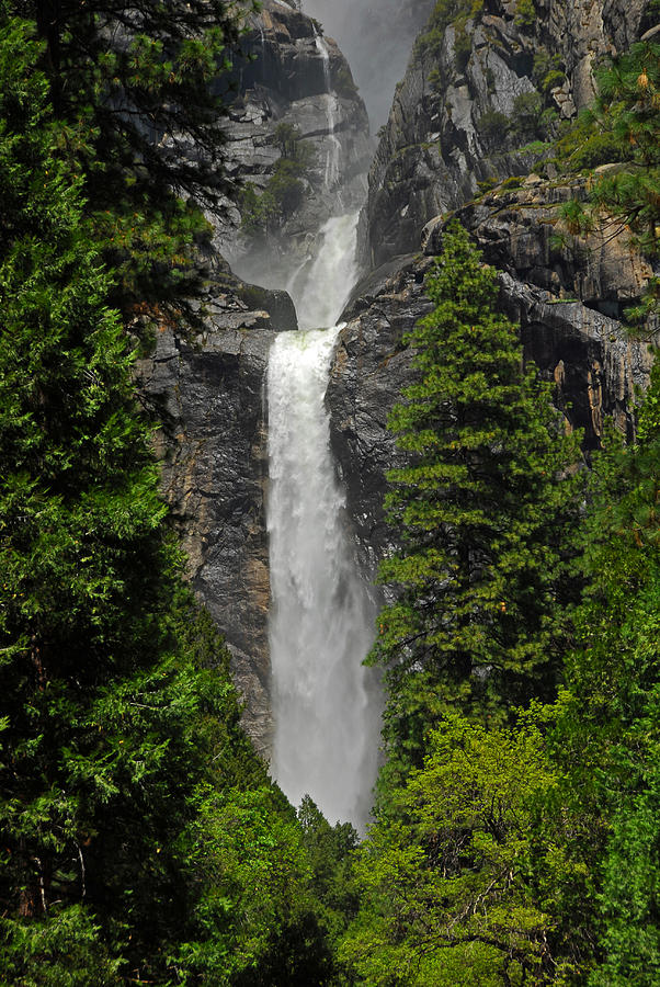 Lower Yosemite Falls Photograph by Lynn Bauer
