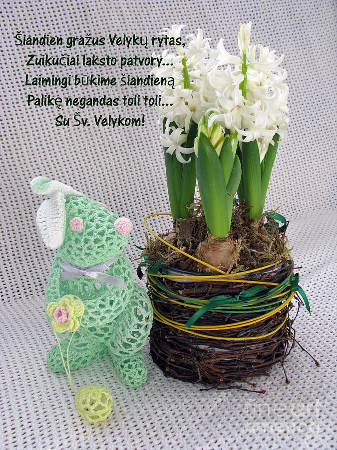 Easter Photograph - LT Easter Greeting. Bunny. Lithuanian text by Ausra Huntington nee Paulauskaite
