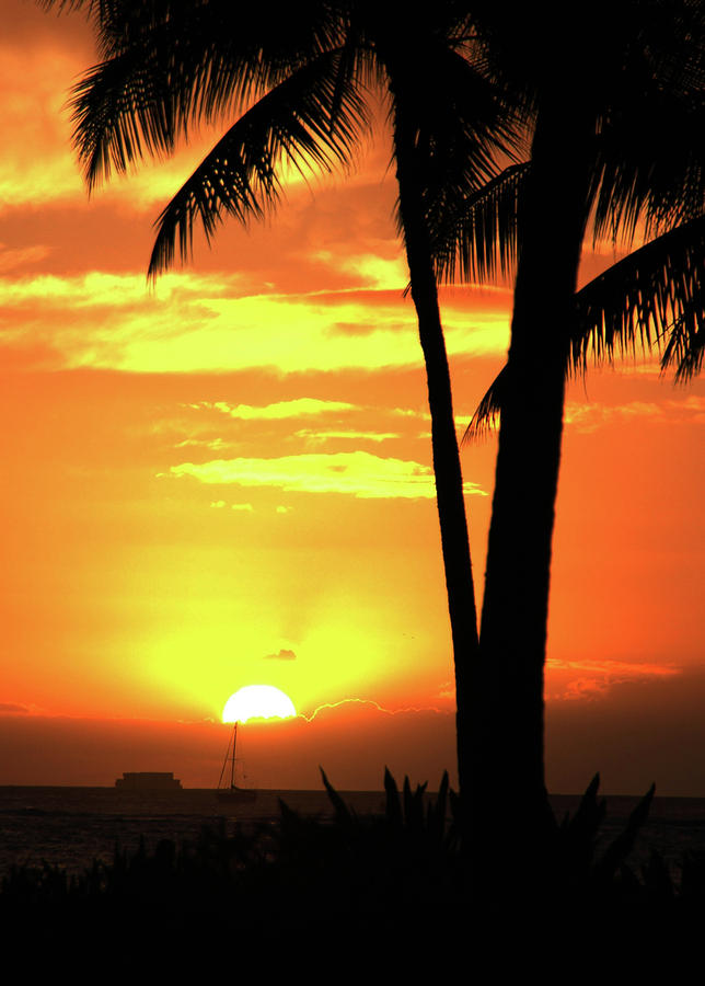 Luau Sunset Photograph by Dan McManus