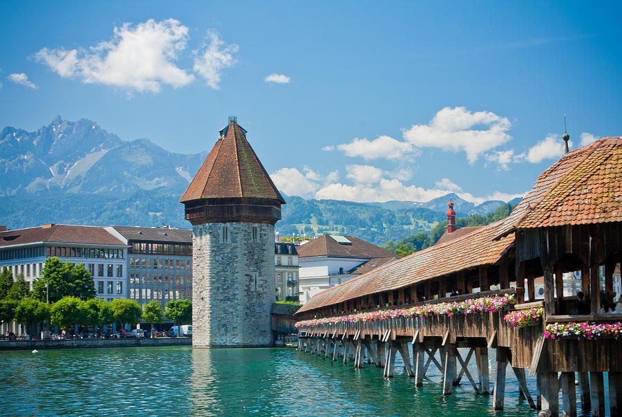 Lucerne in Spring Photograph by Anthony Doudt