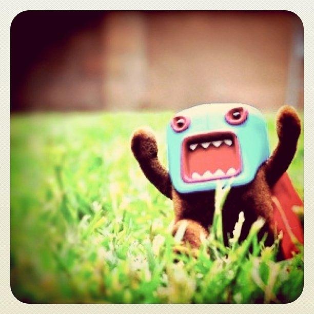 Lucha Domo Revisited [nikon D300 + Photograph by S Michelle Reese