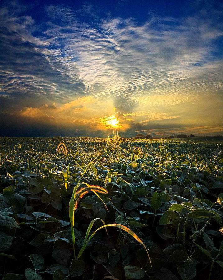 Landscape Photograph - Lucidity by Phil Koch