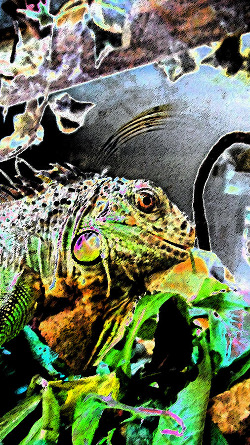 Lucy The Iguana Photograph by Cyryn Fyrcyd