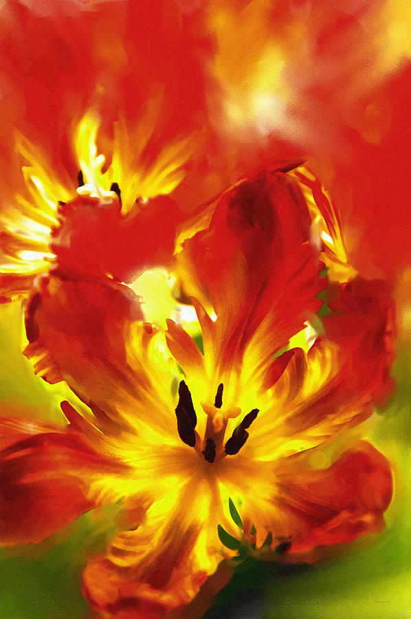 Flower Mixed Media - Luminosity Of Nature by Georgiana Romanovna