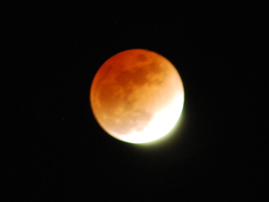 Lunar Eclipse Photograph by Michael Merry