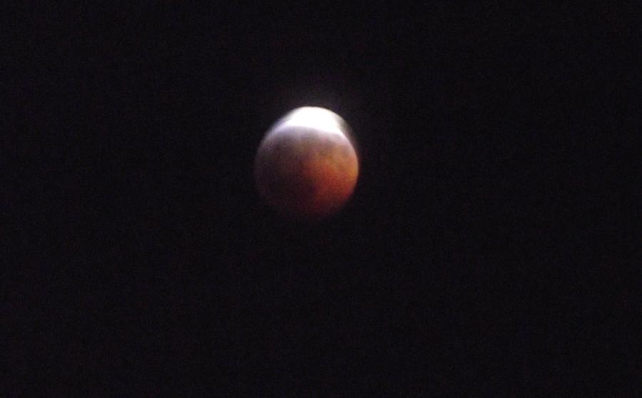 Lunar Eclipse Tucson Photograph by Jayne Kerr 