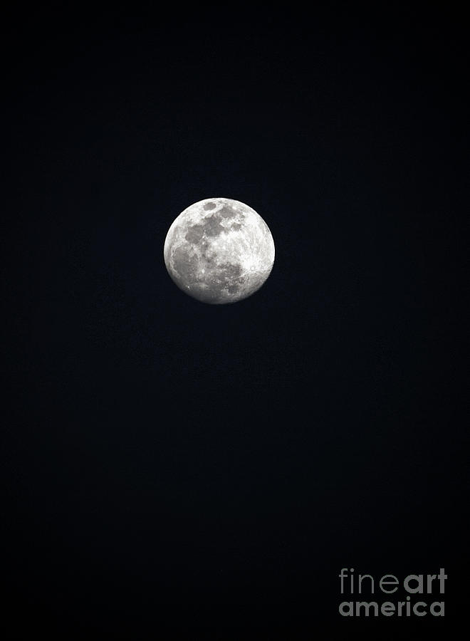 Space Photograph - Lunar by Glennis Siverson