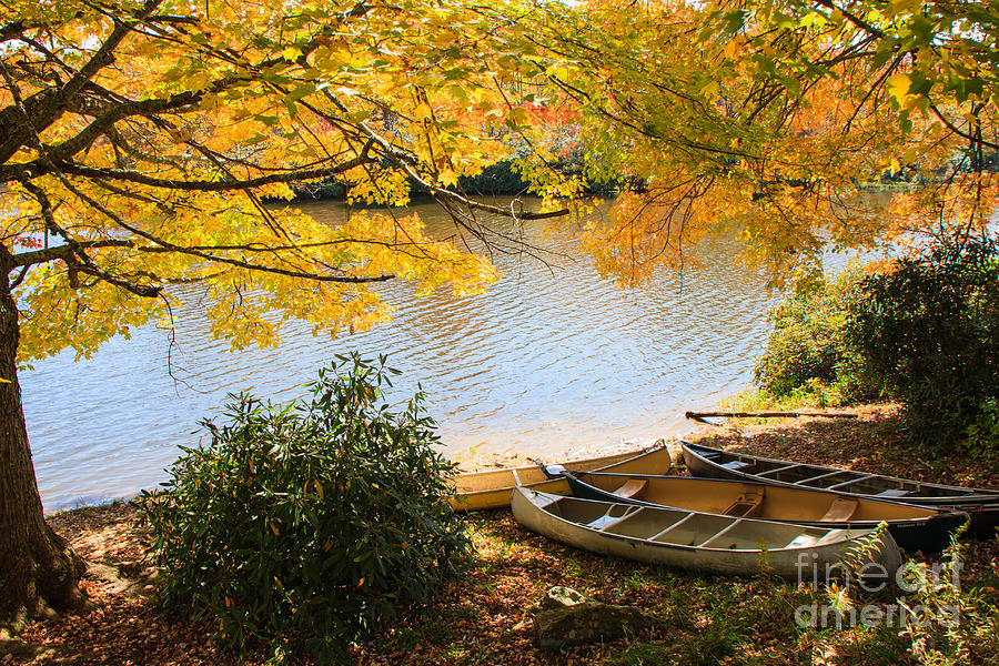 Fall Photograph - Lunch Break by Brenda Combs