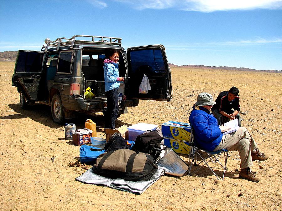 Lunch Break Gobi Style Photograph by Diane Height
