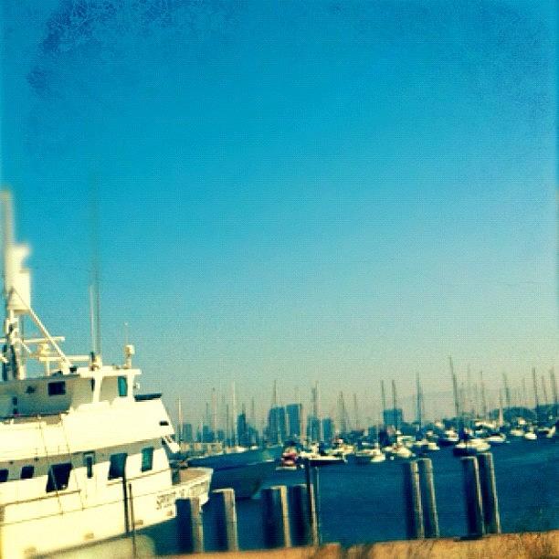 Sandiego Photograph - Lunch Date At The Harbor #iphoneography by Jennifer Augustine