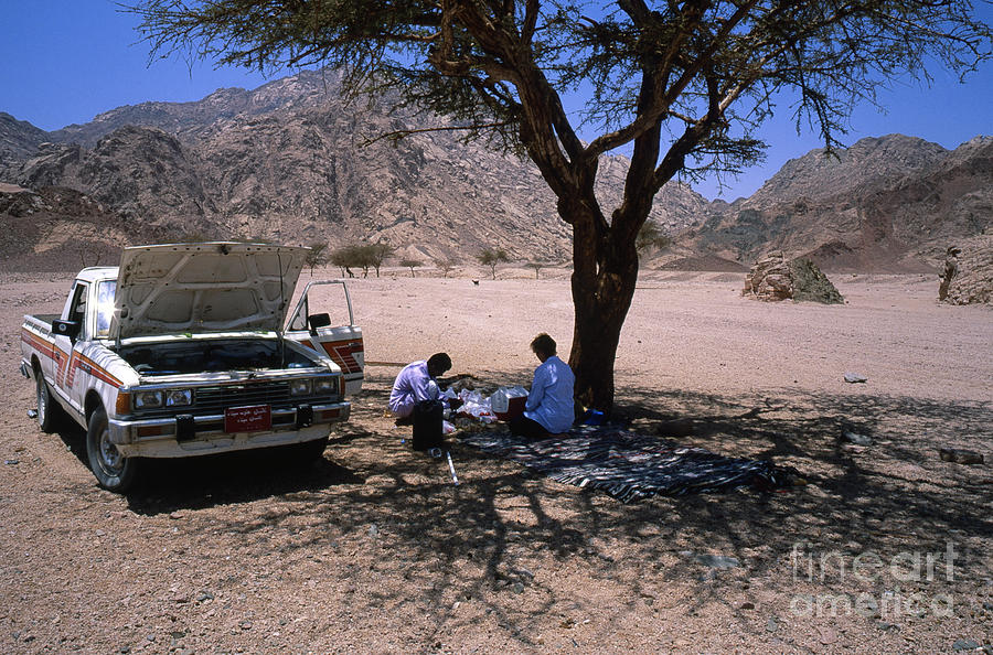 Lunchtime in the Desert of Sinai Photograph by Heiko Koehrer-Wagner