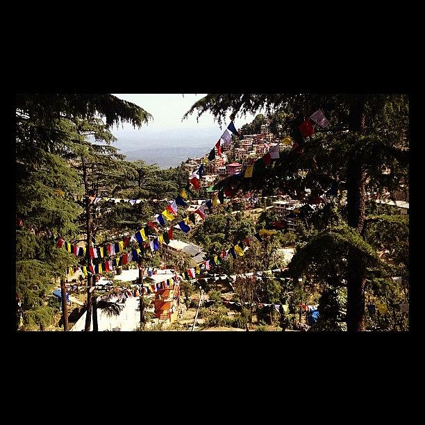 Flag Photograph - #lungta #buddhist #prayer #flags by Sahil Gupta
