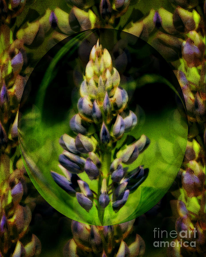 Lupine Beauty Abstract Digital Art by Smilin Eyes Treasures