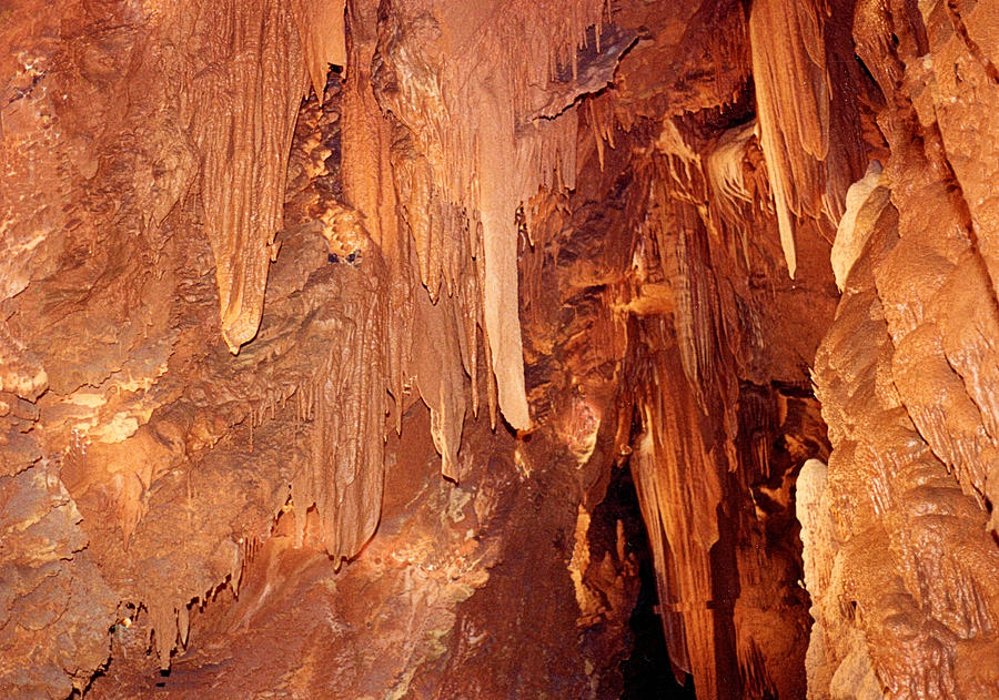 Luray Caverns C Photograph by Michael Reymann - Fine Art America