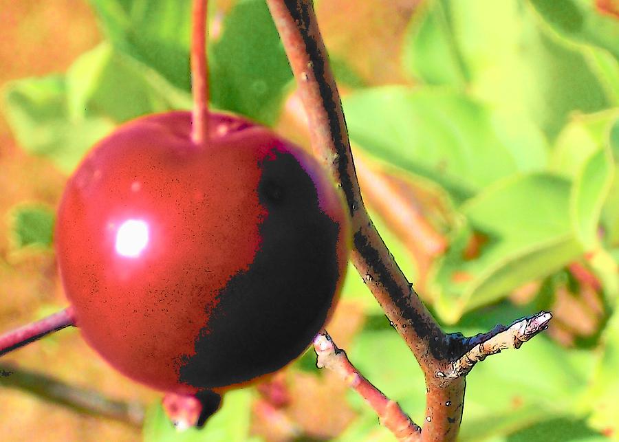 Tree Digital Art - Luscious Fruit by Wide Awake Arts