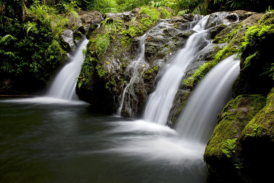 Lush Kipahulu Waterfalls Photograph by Jenna Szerlag