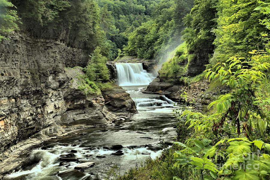 Letchworth State Park Photograph - Lush Waterfall by Adam Jewell