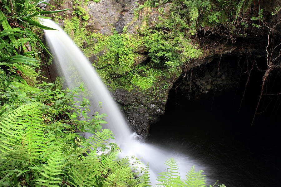 Lush waterfall Haleakala national park Photograph by Pierre Leclerc Photography