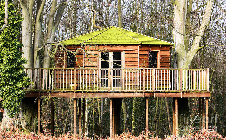 Luxury tree house in the woods Photograph by Simon Bratt
