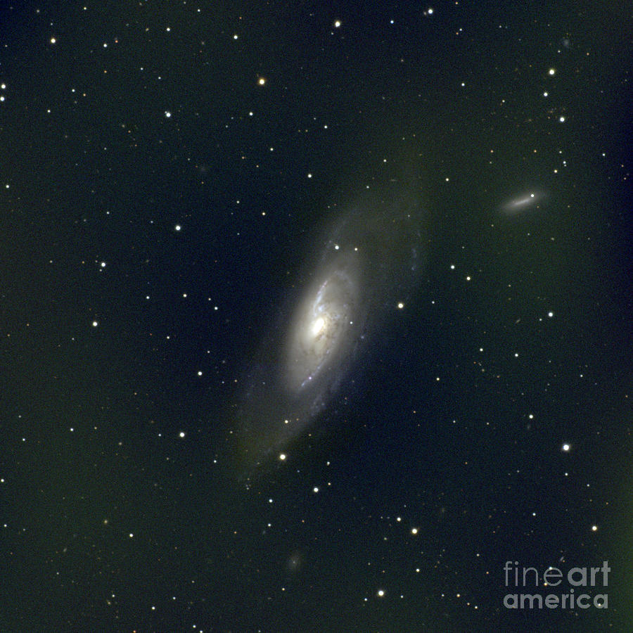 M106 Galaxy Photograph by Science Source