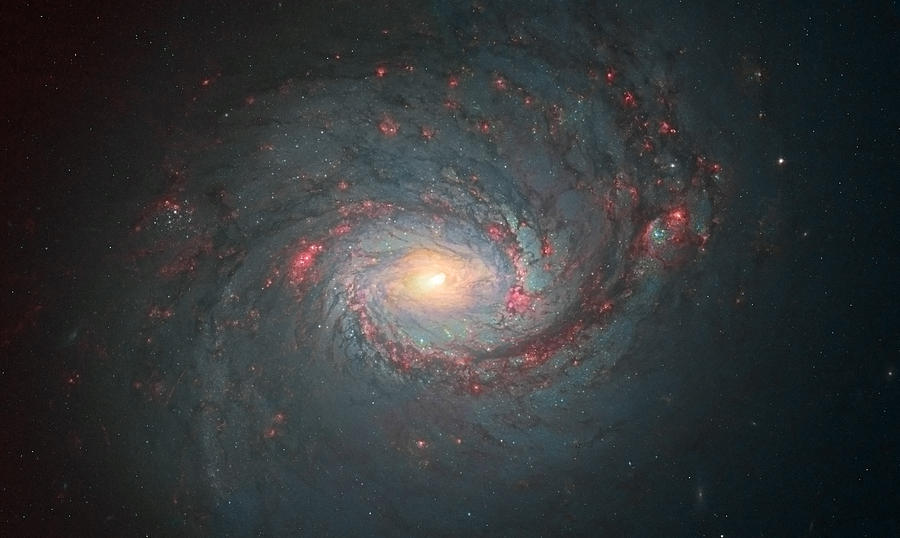 Space Photograph - M77 Hubble Space Telescope by Andre Van der Hoeven