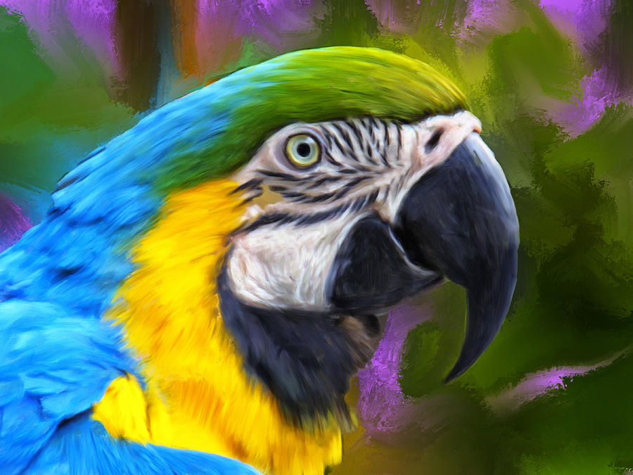 Macaw Painting by Dominic Piperata