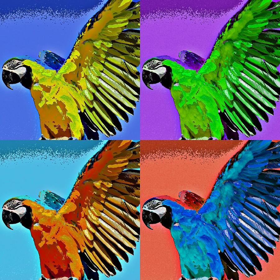 Macaw Pop Art Photograph by Fraida Gutovich