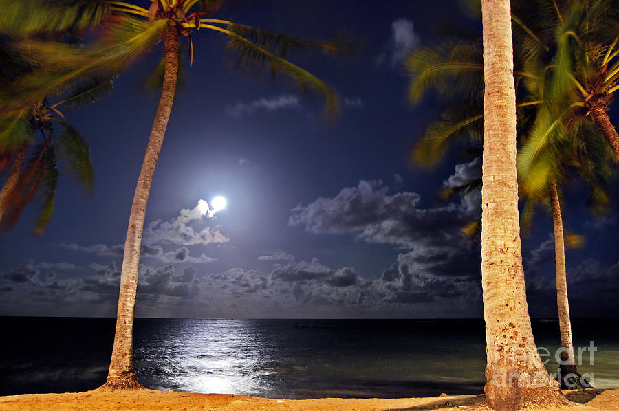 Maceio - Brazil - Ponta Verde Beach under the moonlit Photograph by Carlos Alkmin