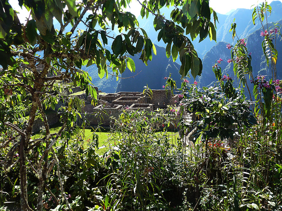 Machu Picchu Peru 9 Photograph by Xueling Zou