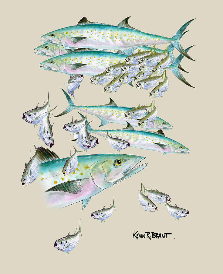 Mackerel Painting - Mackerel Montage by Kevin Brant Mackerel Painting - Mackerel Montage by Kevin Brant