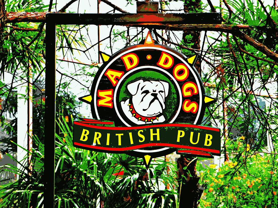 Mad Dog Pub San Antonio Photograph by Jo Sheehan