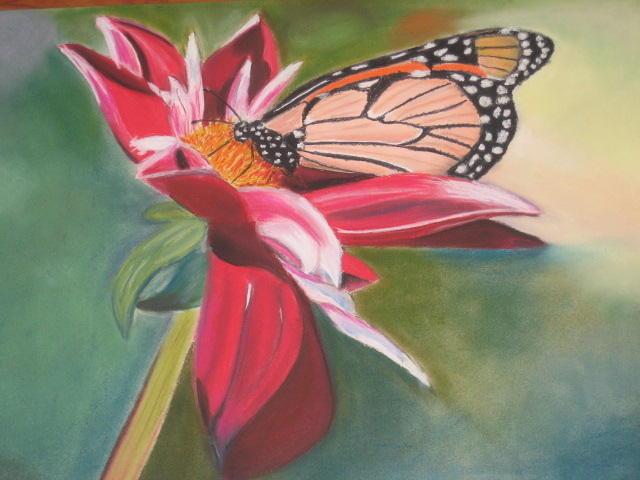 Butterfly Pastel - Madame butterfly by Catherine Dewulf