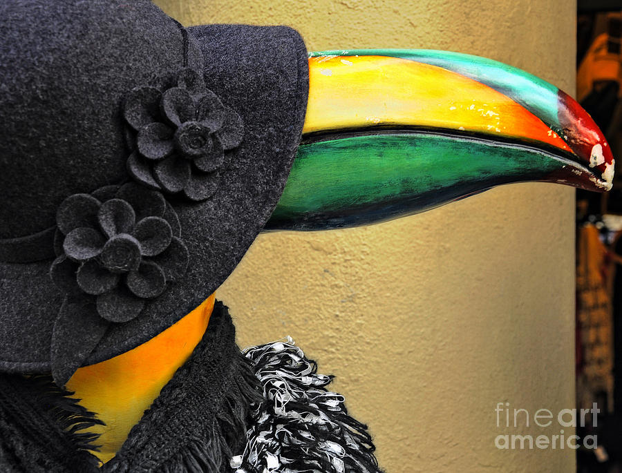 Madame Toucan of New Orleans Photograph by Kathleen K Parker
