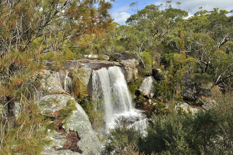 Maddens Falls Photograph by Terry Everson - Fine Art America