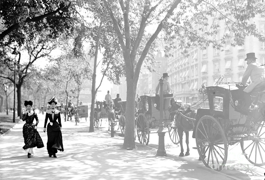 Horse Photograph - Madison Square Cab Stand New York City 1900 by Padre Art Horse Photograph - Madison Square Cab Stand New York City 1900 by Padre Art