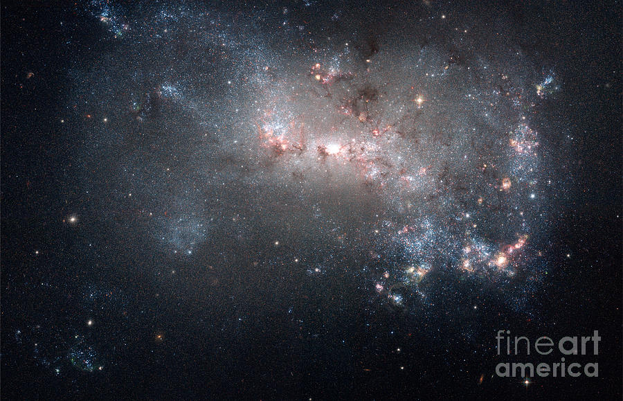 Space Photograph - Magellanic Dwarf Irregular Galaxy Ngc by Stocktrek Images