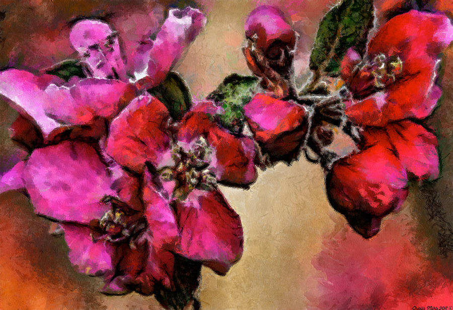 Magenta flowers Digital Art by Charles Muhle