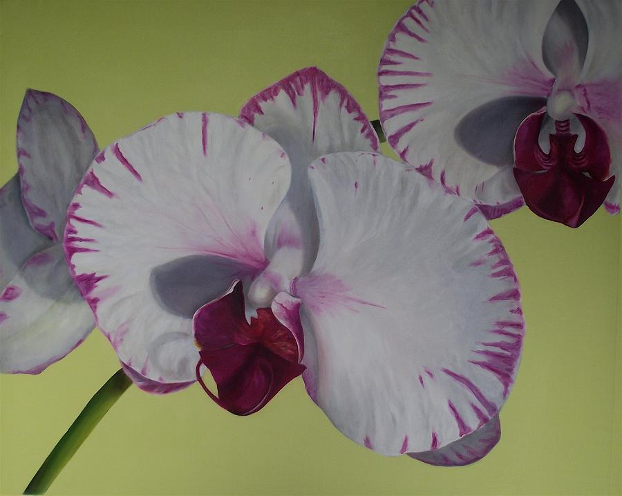 Magenta Orchids Painting By Rocio Magasrevy Fine Art America