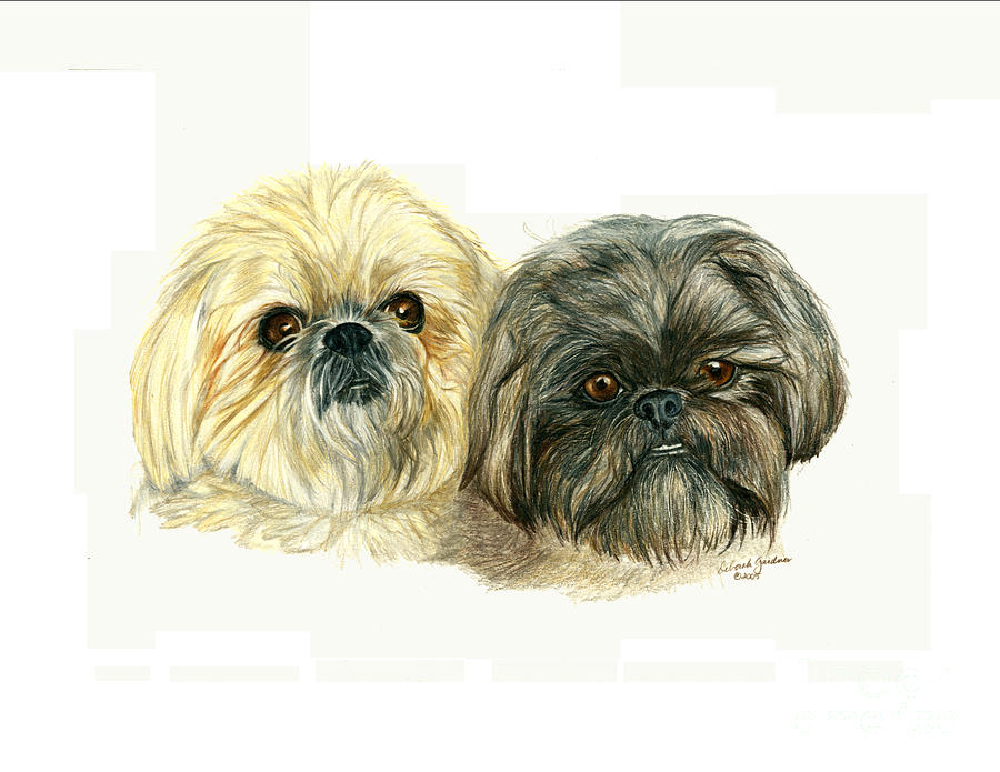 Dog Drawing - Maggie and Gizmo by Deb Gardner